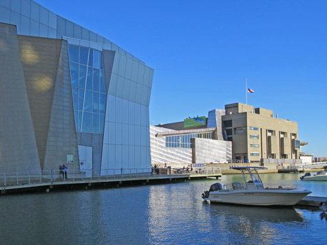 New England Aquarium, Boston Massachusetts